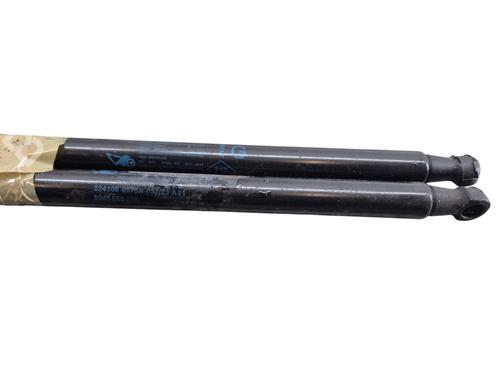 Tailgate lift support RENAULT MEGANE IV Grandtour (K9A/M/N_) 1.5 Blue dCi 115 (K9A6) | BP25071929C138