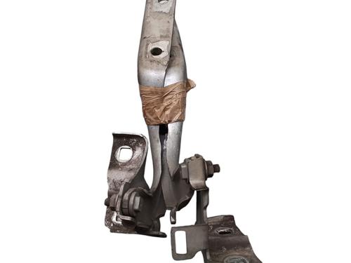 Hinge/Door check strap FIAT 500X (334_) 1.4 (334AXC1B, 334AXC11) | BP25102099C146 