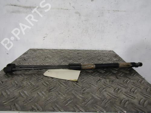 Used Tailgate lift support SKODA FABIA II (542) 1.2 (60 hp) 25095705