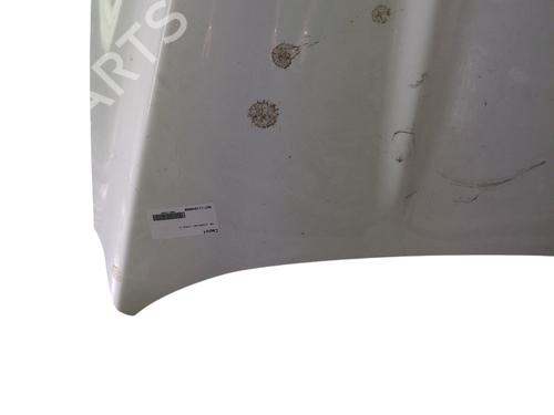 Hood FORD KUGA I 2.0 TDCi | BP28580169C1 