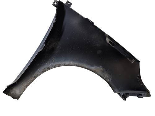 Left front fenders RENAULT SCÉNIC III (JZ0/1_) 1.5 dCi | BP27506771C41 
