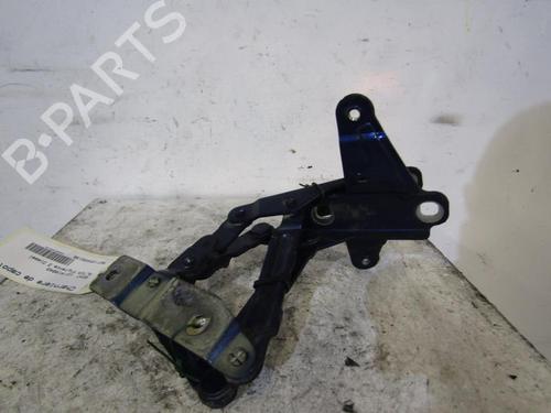Used Hinge/Door check strap SEAT ALTEA (5P1) 2.0 TDI 16V (140 hp) 25090293