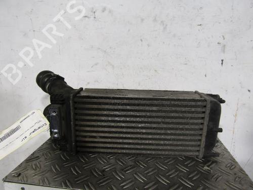 Used Intercooler Intercooler CITROËN BERLINGO Box Body/MPV (B9) [2008-2026] 25065955 25065955