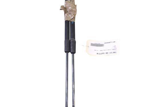 Tailgate lift support CITROËN C4 Grand Picasso I (UA_) 1.6 HDi 110 | BP28216949C138 