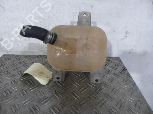 Expansion tank FIAT DOBLO Cargo (263_) 1.3 D Multijet | BP25065066C120 