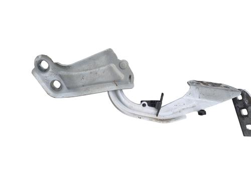 Hinge/Door check strap FORD FOCUS III  | BP25098687C146 