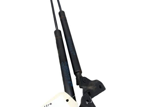 Tailgate lift support DODGE JOURNEY 2.0 CRD | BP25087547C138 