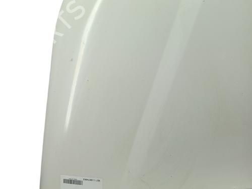 Hood VW TRANSPORTER T5 Bus (7HB, 7HJ, 7EB, 7EJ) 2.0 TDI 4motion | BP31074812C1 