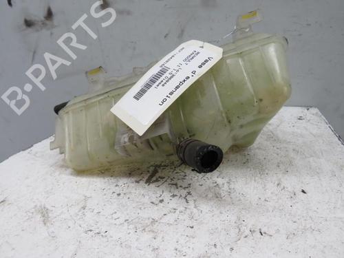 Used Expansion tank RENAULT KANGOO Express (FW0/1_) 1.5 dCi 70 (FW0A, KW0V) (68 hp) 25066245