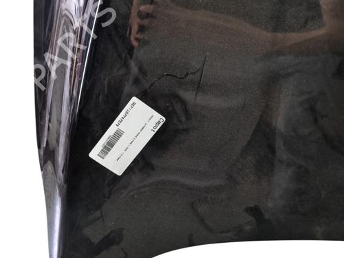 Hood RENAULT MEGANE III Coupe (DZ0/1_) 1.9 dCi (DZ0N, DZ0J, DZ1J, DZ1K) | BP27172249C1 