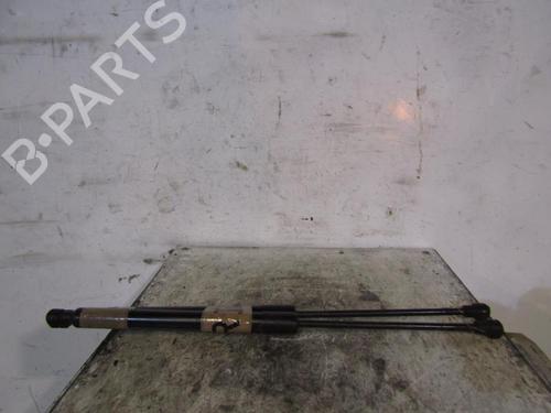Gassdemper Bakluke RENAULT ZOE (BFM_) ZOE (88 hp) 25105656