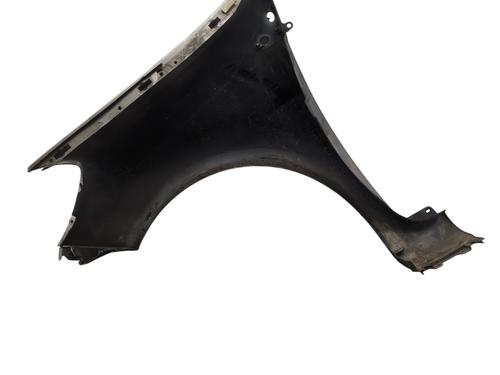 Right front fenders RENAULT CLIO III (BR0/1, CR0/1) 1.5 dCi (BR17, CR17) | BP29956372C42