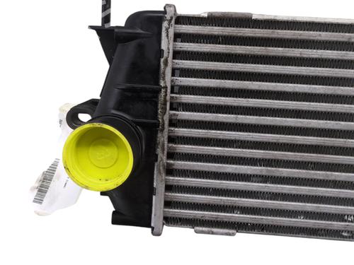 Used Intercooler RENAULT TRAFIC II Bus (JL) 2.0 dCi 90 (JL00, JL01, JL0H, JL0M, JL0P, JL0S) (90 hp) 30736724