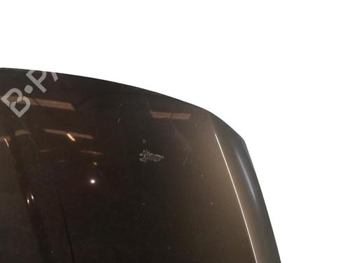 Hood PEUGEOT 3008 I MPV (0U_)  | BP25099316C1