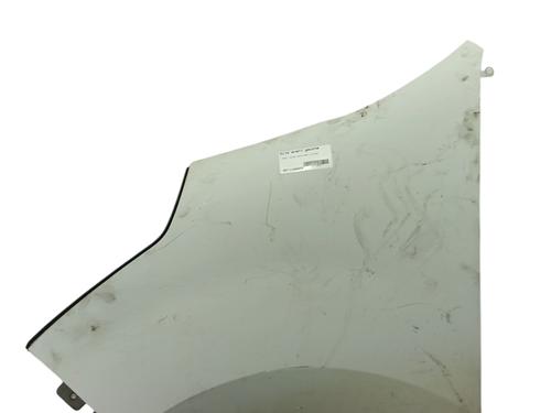 Forkjerm venstre RENAULT MASTER III Van (FV) 2.3 dCi 100 FWD (FV0A, FV0B, FV0G, FV0K, FV0H) (101 hp) 29175586