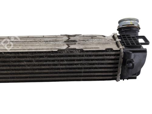 Intercooler RENAULT MEGANE III Coupe (DZ0/1_) 2.0 dCi (DZ0L) | BP29611993M30 