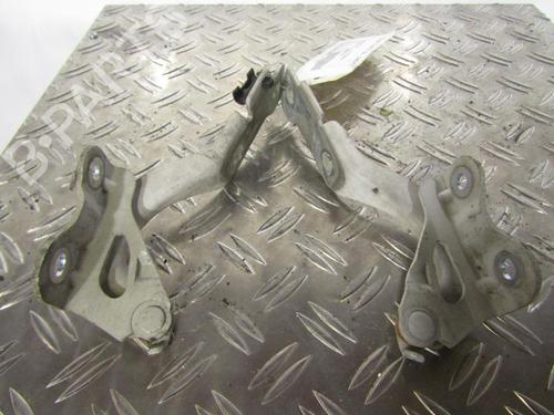 Used Hinge/Door check strap CHEVROLET AVEO / KALOS Hatchback (T250, T255) [2006-2025]  25096080