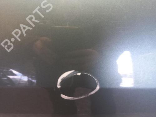 Right front door RENAULT SCÉNIC II (JM0/1_) 1.9 dCi | BP25073111C3 