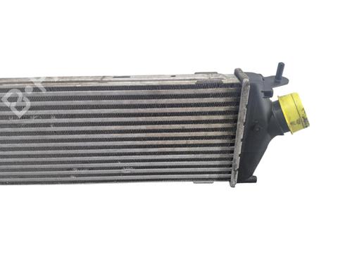 Used Intercooler Intercooler RENAULT TRAFIC II Bus (JL) 2.0 dCi 90 (JL00, JL01, JL0H, JL0M, JL0P, JL0S) (90 hp) 33028759 33028759