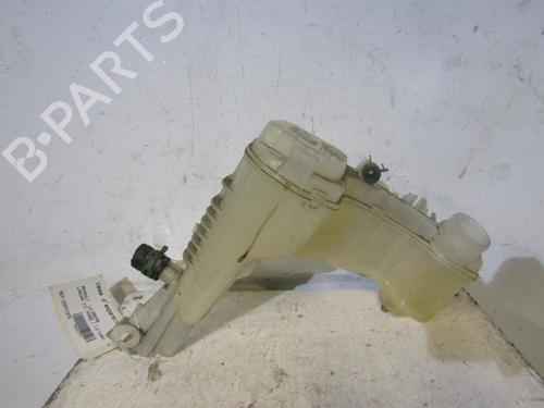 Used Expansion tank RENAULT LAGUNA III (BT0/1) 1.5 dCi (BT00, BT0A, BT0T, BT1J) (110 hp) 25090800