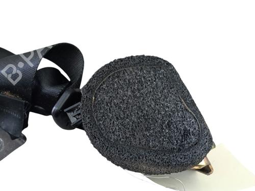 Rear right belt tensioner FORD FOCUS II (DA_, HCP, DP) 2.0 | BP27934094C90 