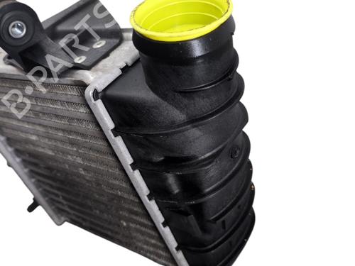 Used Intercooler VW POLO IV (9N_, 9A_) 1.4 TDI (70 hp) 29898101