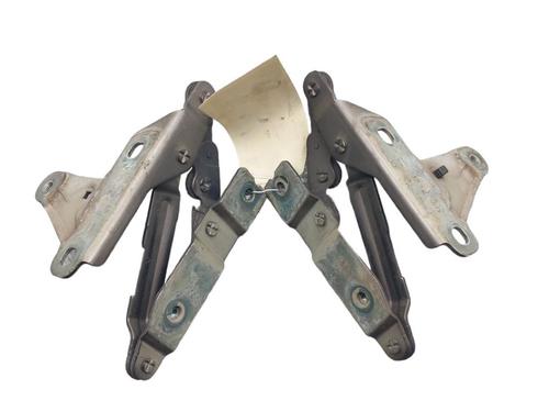Hinge/Door check strap SEAT ALTEA (5P1)  | BP25058915C146 