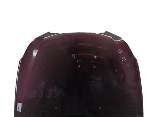 Hood LANCIA DELTA III (844_) 1.6 D Multijet (844.AXC11, 844.AXC1A) | BP27819024C1 