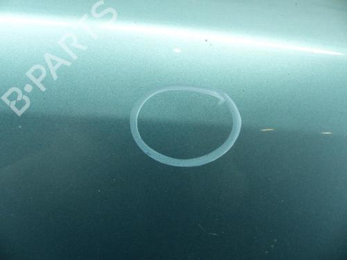 Hood NISSAN X-TRAIL I (T30) 2.2 Di 4x4 | BP25107788C1 