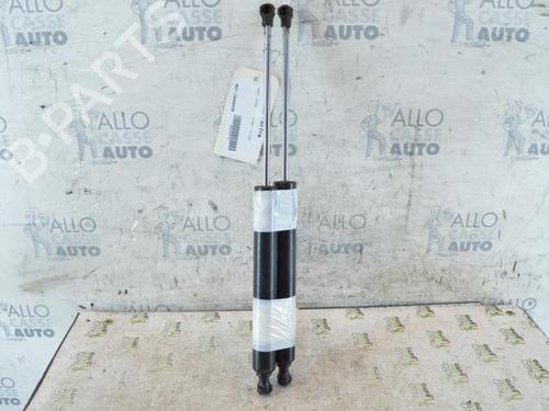 Gassdemper Bakluke RENAULT VEL SATIS (BJ0_) 2.2 dCi (BJ0E, BJ0F) (150 hp) 25071222