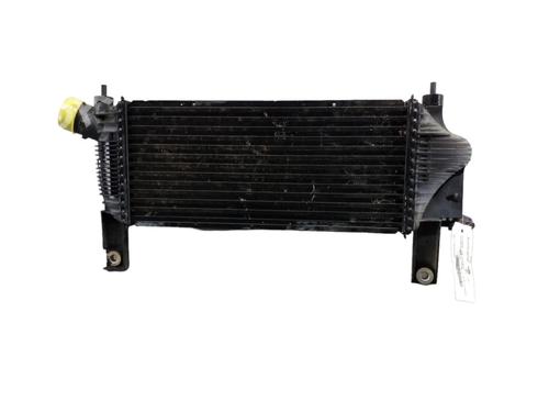 Intercooler NISSAN PATHFINDER III (R51)  | BP25100049M30 