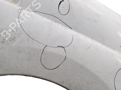 Right front fenders CITROËN JUMPY II Van 1.6 HDi 90 16V | BP31067224C42