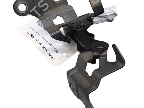 Hinge/Door check strap TOYOTA YARIS (_P13_) 1.5 Hybrid (NHP130_, NHP130) | BP29759888C146