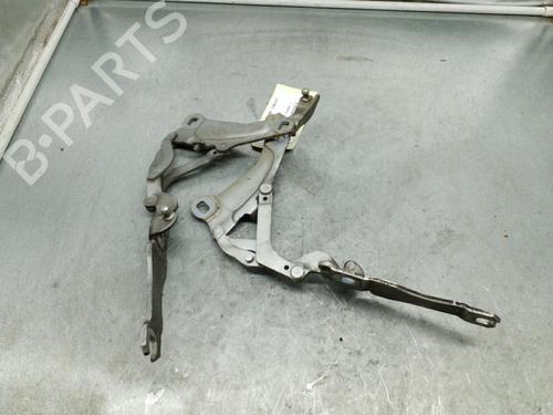 Hinge/Door check strap MINI MINI CLUBMAN (R55) Cooper D | BP25103623C146 