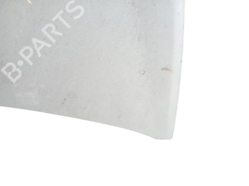 Hood RENAULT CLIO III (BR0/1, CR0/1) 1.5 dCi (BR17, CR17) | BP25053452C1 