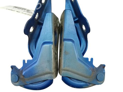 Hinge/Door check strap SEAT IBIZA IV (6J5, 6P1) 1.6 TDI | BP25100622C146 