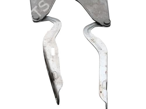 Used Hinge/Door check strap RENAULT TWINGO II (CN0_) 1.2 16V (CN04, CN0B) (75 hp) 27385388