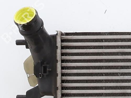 Intercooler Intercooler FORD ECOSPORT 1.0 EcoBoost (100 hp) 36401831 36401831