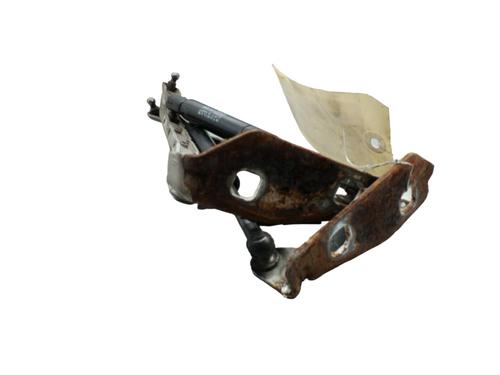Hinge/Door check strap MERCEDES-BENZ M-CLASS (W163) ML 55 AMG (163.174) | BP25088633C146 