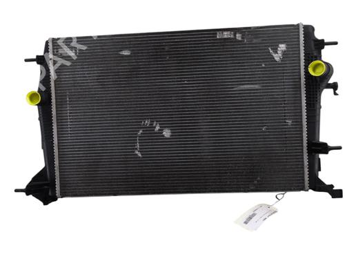 Køler RENAULT SCÉNIC III (JZ0/1_) 1.6 dCi (JZ00, JZ12) (130 hp) 30968991