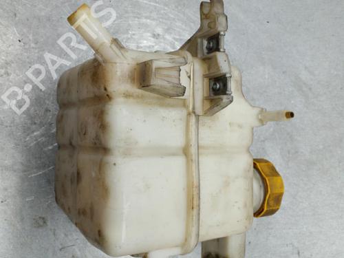 Expansion tank OPEL ANTARA A (L07) 2.0 CDTI 4x4 | BP25104194C120 