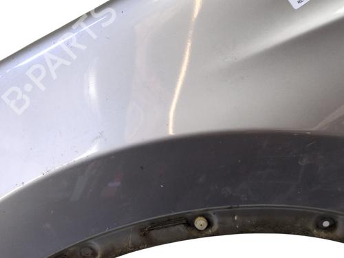 Left front fenders NISSAN QASHQAI I (J10, NJ10) 1.5 dCi | BP28044794C41
