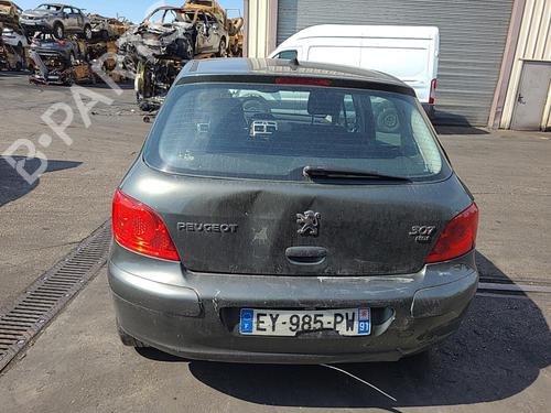 Right rear door PEUGEOT 307 (3A/C) 1.6 HDi | BP25105103C5 