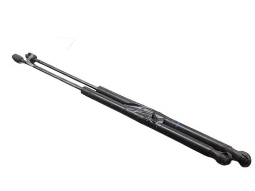 Gassdemper Bakluke RENAULT SCÉNIC II (JM0/1_)  | BP25099691C138 