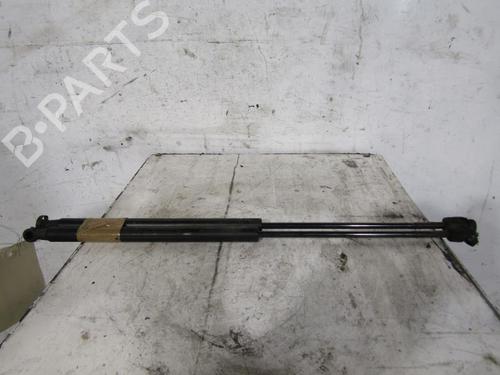Used Tailgate lift support FIAT BRAVO II (198_) 1.4 (198AXA1B) (90 hp) 25085172