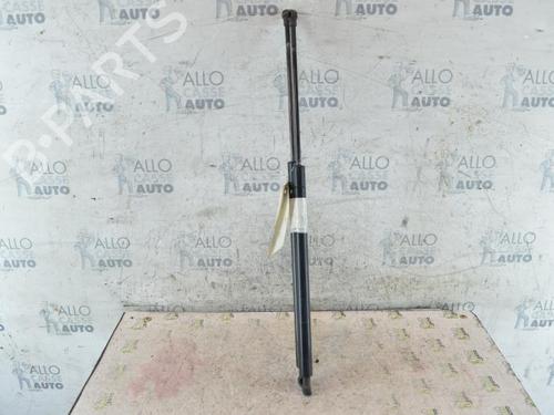 Used Tailgate lift support PEUGEOT 206 SW (2E/K) 1.4 (75 hp) 25071138