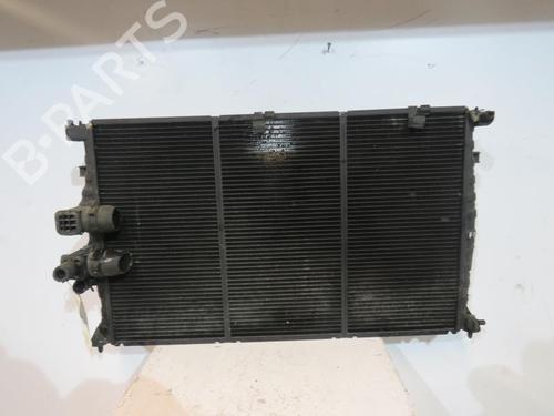 Used Water radiator Water radiator PEUGEOT 406 Coupe (8C) [1997-2005] 25095040 25095040