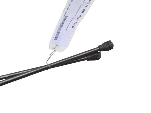 Tailgate lift support RENAULT CLIO V (B7_) 1.3 TCe 130 (B7MF) | BP38295010C138 - Image 3