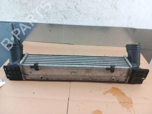 Intercooler BMW 1 (E81)  | BP25099329M30 