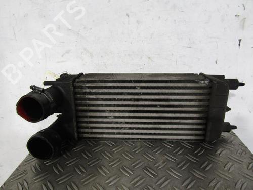Used Intercooler CITROËN C5 III (RD_) 1.6 HDi 110 (RD9HL0, RD9HR8, RD9HRA) (112 hp) 25108550